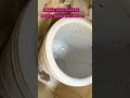Whirlpool Semi Automatic Machine Dryer Repair Washing Machine Service Electrician Apna Electricianï Whirlpool Semi Automatic Machine Dryer Repair Washing Machine Service Electrician Apna Electricianï