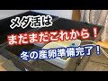屋内メダ活を全力で楽しむセッティングが完了しました。【メダカ】