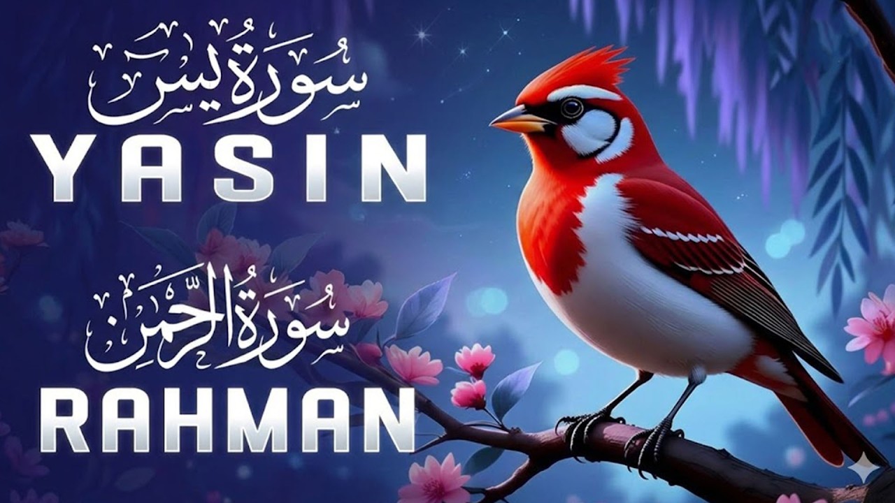 Beautiful Quran Recitation For Relax Your Mind  Surah Yaseen, Surah Rahman  Reciter Alaa Aqel