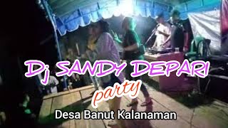DJ TIKTOK GOYANG PARGOY spesial acara pernikahan Ahmad sandy & Fitri Astuti // desa Banut Kalanaman