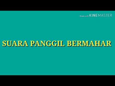 suara-panggil-bermahar