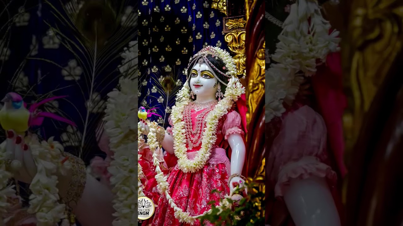 Radhe Radhe🙏🙏🙏🙏🙏 #shortvideo #bhakti #radheradhe #hanuman