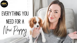 Everything You Need For a New Puppy | All the Essentials!