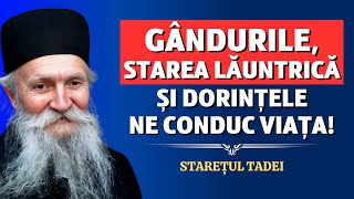 Gândurile, starea lăuntrica și dorințele noastre ne conduc viața - Starețul Tadei