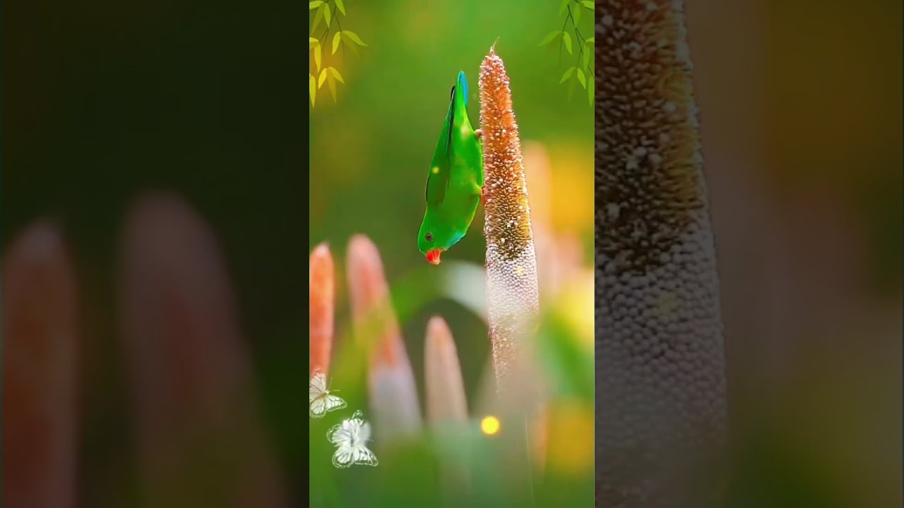 Prayer for Saturday 7th March 