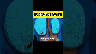 Stories That Are Sound Fake But Are 100% Real! #shorts #facts