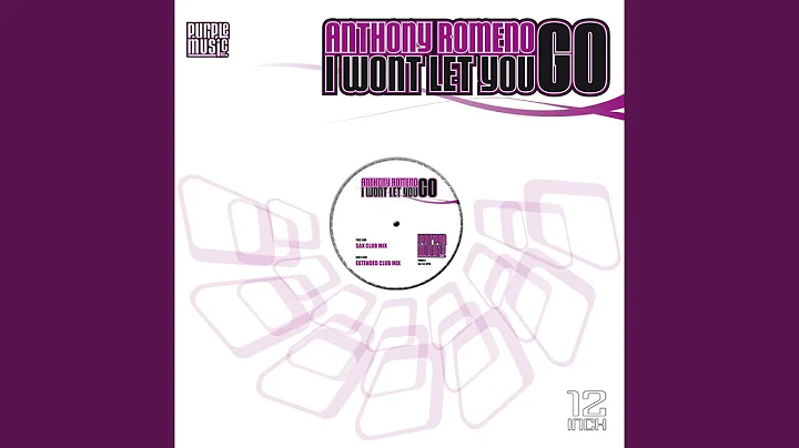 I Won't Let You Go (Extended Club Mix)