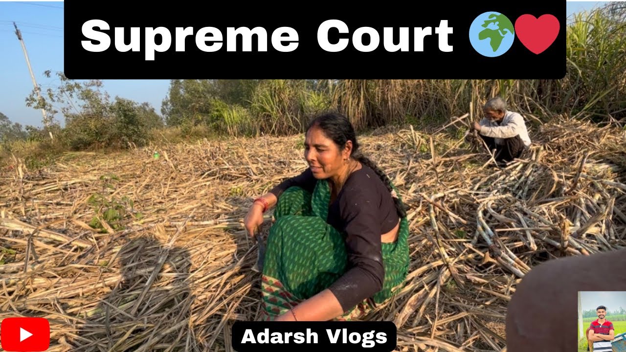 Supreme Court😁🫀