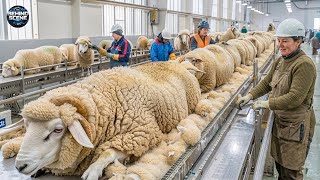 Inside the Massive Factories Transforming Raw Wool into Luxury Cloth