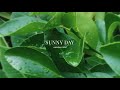 Aaron Espe - Sunny Day [Lyric Video]