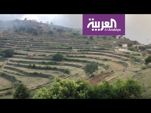 نشرة الرابعة  جبل الشرفة في منطقة عسير السعودية الجبال تتحول إلى مدرجات زراعية