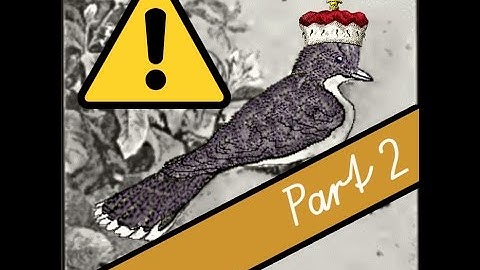 b 2-18 (part 2) Video Lesson XVIII: The kingbird.- McGuffey