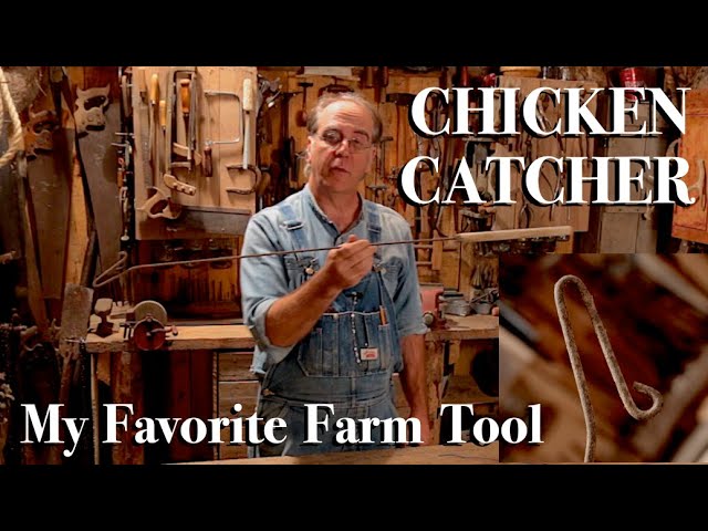 Chicken Catcher - My Favorite Farm Tool 