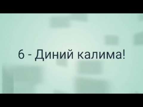 6-ДИНИЙ КАЛИМА