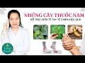 Những cây thuốc nam hỗ trợ chữa bệnh tê tay chân an toàn, hiệu quả