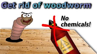 Get rid of woodworm for good (no pesticides) by AndysMachines 35,193 views 1 year ago 6 minutes, 53 seconds
