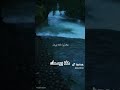 هلا برسمك