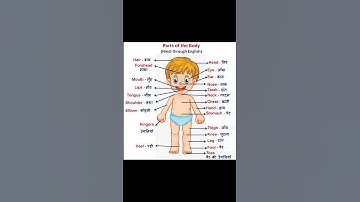 Thumbnail of Parts of the Body-Hindi through English #hindi #bodyparts #english #tutorial #learnhindi #vocabulary