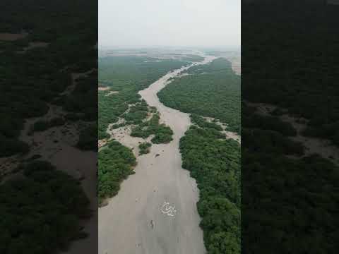 تقرير عن محافظة بيش