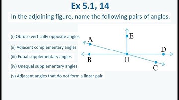 CBSE NCERT CLASS 7 MATHS EXERCISE 5.1 QUESTION 14 I solution of class 7 maths