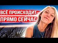 За этим делом следит весь мир. Что случилось с Габби Петито?