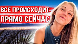 За Этим Делом Следит Весь Мир. Что Случилось С Габби Петито?