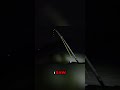 Shark or Turtle? Unbelievable Catch Stuns Anglers! #shorts