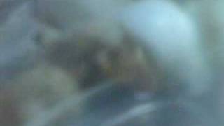 DSC00210.3GP