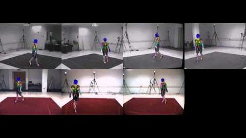 Markerless Motion Tracking. HumanEva-I S1 walking