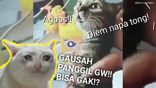 Viral!! Siapakah AGUS yg dimintai Tolong Si KUCING ?