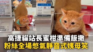 高捷貓站長蜜柑準備飯撒！粉絲全場憋氣「靜音式姨母笑」