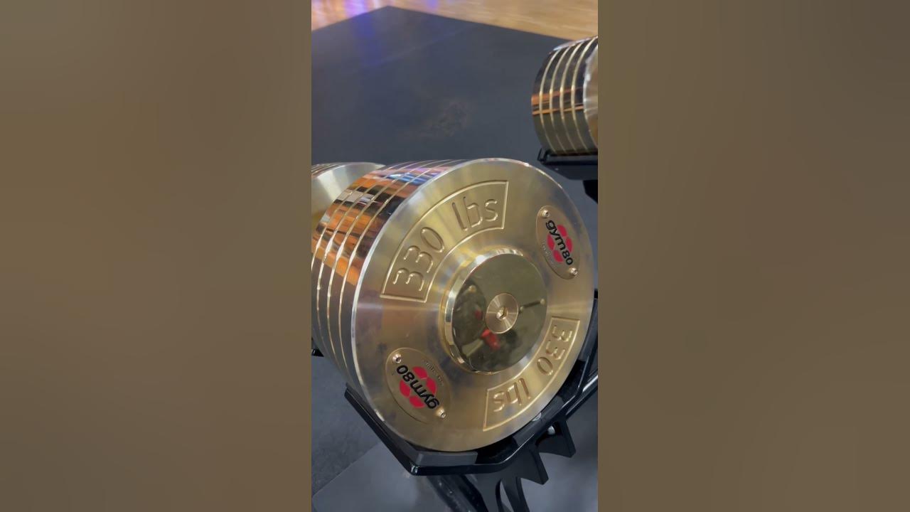 Biggest dumbbells in the world! 330 pounds each! YouTube