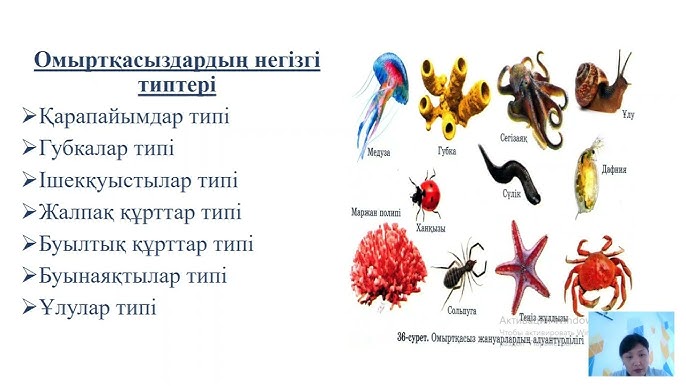 Test Drive Unlimited үшін секс режимдері