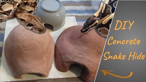 DIY Concrete Snake Hide