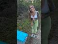 Venomous Cottonmouth Capture in South Florida #everglades #floridawoman #florida #snake #relocation