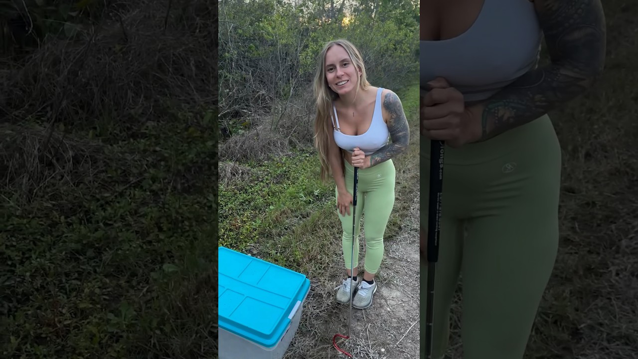 Venomous Cottonmouth Capture in South Florida #everglades #floridawoman #florida #snake #relocation