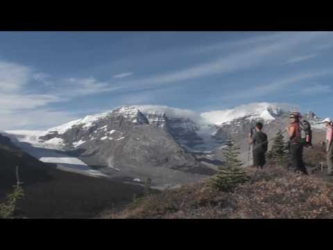 Mount Wilcox Scramble