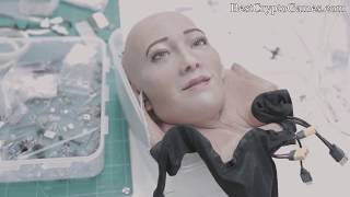 What is SingularityNET AGI CryptoCurrency | Artificial Intelligence AI on Blockchain screenshot 5