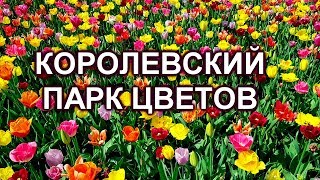 472.КЁКЕНХОФ-ЛУЧШИЙ                     ПАРК ЕВРОПЫ. 2018