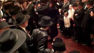 Tolshov Violipol Wedding Part 4