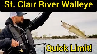 Spring Walleye - Quick Morning Limit!