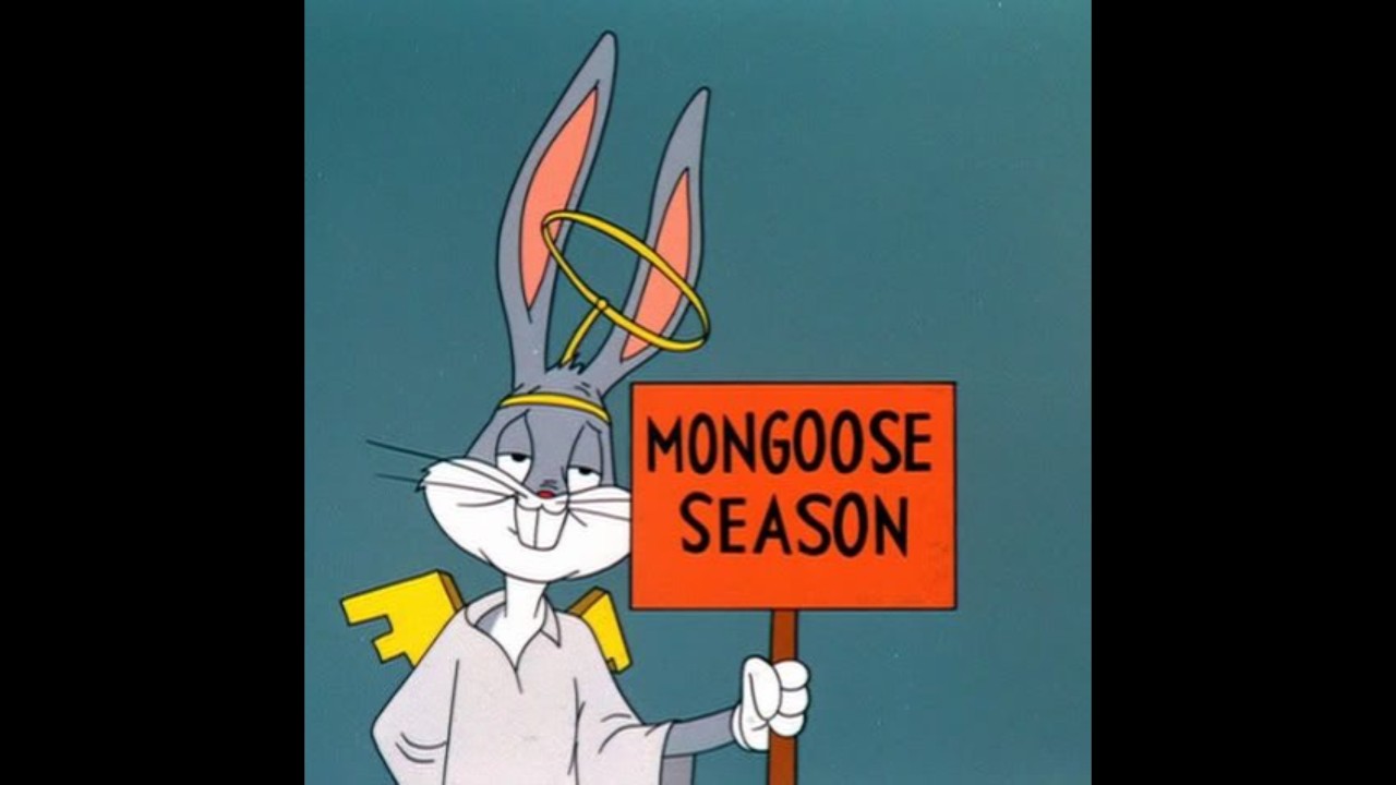 (FREE) MF DOOM x Joey Bada$$ x 90s Boom Bap Type Beat - 