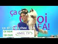 Bande annonce lili rose talk show ca dit quoi chez lea amel tv