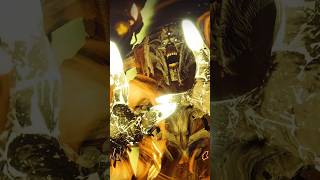 Destiny 2 Ash And Iron Roast Nokris