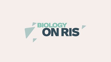 Robot Immune System (RIS) | Biologically inspired