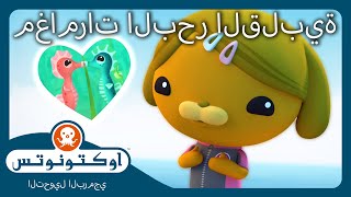 أوكتونوتس | ❤️مغامرات البحر القلبية 🌊 | عيد الحب | حلقات مجمعة