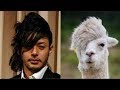 動物にそっくりな芸能人・モデルたち♡~きゃりーぱみゅぱみゅ、桐谷美玲、大野智、森三中の村上、他~