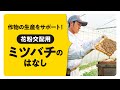 花粉交配用ミツバチの話【9月14日配信】