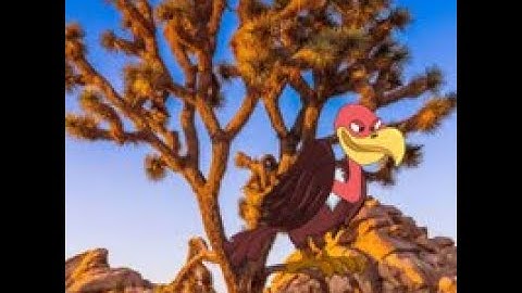 desert joshua tree escape video walkthrough