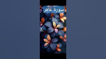 سورة غافر #دويتو #تيك_توك #فولو #لايك #دعاءمستجاب #حالات_واتس #اسلام # قران#quran